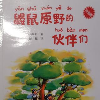 11.3鼹鼠原野的伙伴们之甜甜圈池子的甜甜圈号1