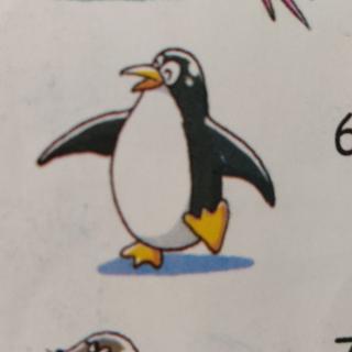 penguin