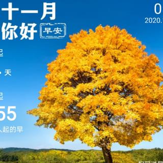 11.14《人间值得》前言、目录.故事1