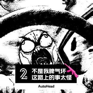 不是我脾气坏，这路上事儿太怪 - Autohead Vol.3