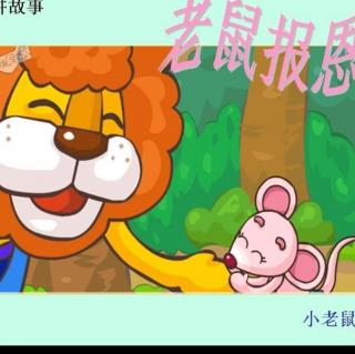 老鼠报恩