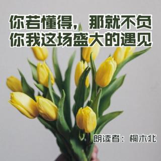 来稿 | 你若懂得，那就不负你我这场盛大的遇见 - 桐木北（来自FM181507640）