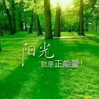 花草随风飘纯音乐