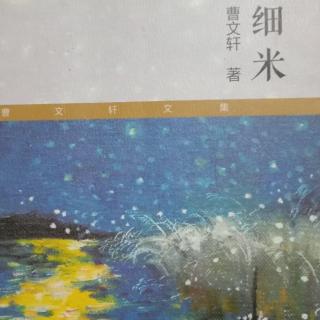 细米《风也吹，雷也打》       一