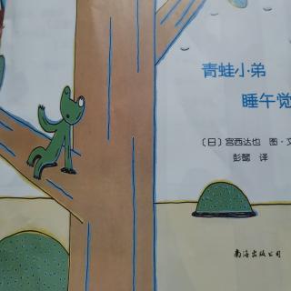 青蛙🐸小弟睡午觉