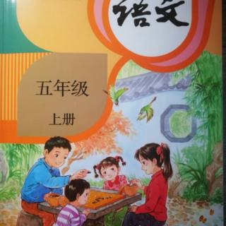 课文 16《太阳》