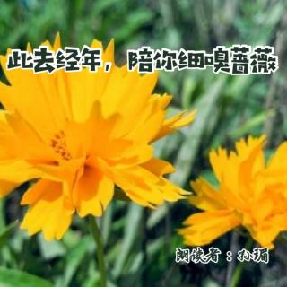 来稿 | 此去经年，陪你细嗅蔷薇 - 孙瑂（来自FM73175060）