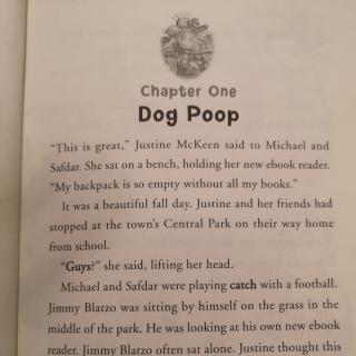 Dog  poop