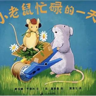 小老鼠🐭忙碌的一天