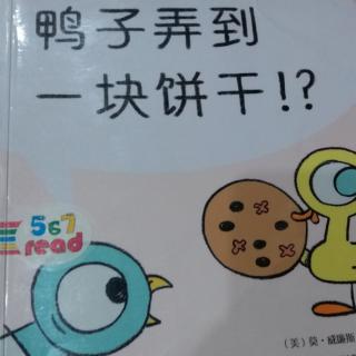 鸭子弄到一块饼干！？