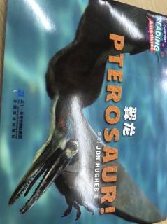 pterosaur 翼龙 11.17