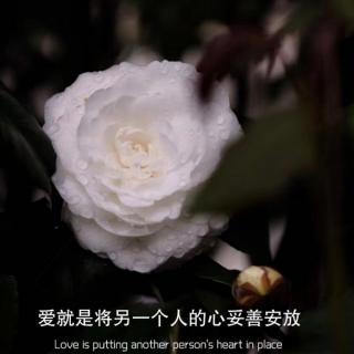 睡前治愈 —《戒指》