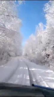 你那里下雪了吗🌨️诵读时斌