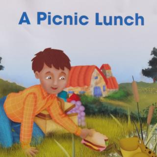 A picnic lunch