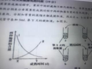 高一11月补充生物综合题解析