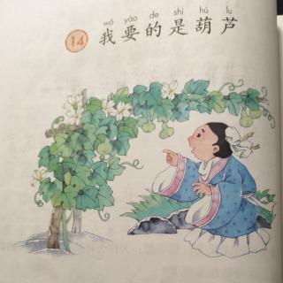 我要的是葫芦