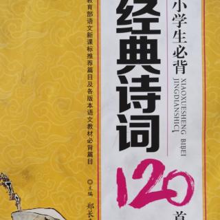 九月九日忆山东兄弟、望天门山、………