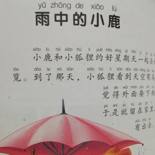 雨中的小鹿