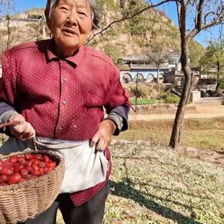 故乡高处：李全文/文，梅花/朗读