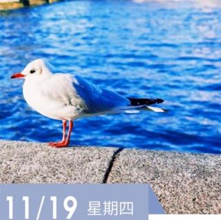 《羊皮卷第五卷》11.19