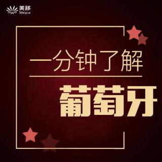 1.葡萄牙的教育怎么样？