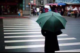 生活如雨，请撑伞原谅