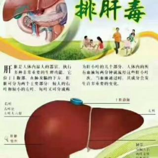 早安播报“肝”好一切都好