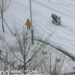 十一月的雪