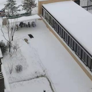 十一月的雪