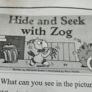 hide and seek with Zog