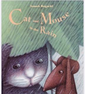 Cat and Mouse in the Rain