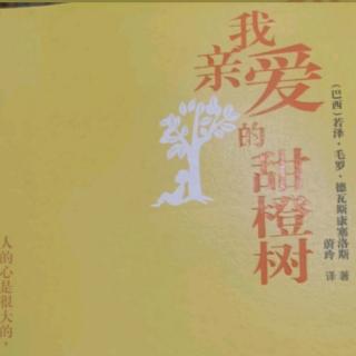 我亲爱的甜橙树（四）：小鸟 学校 花儿