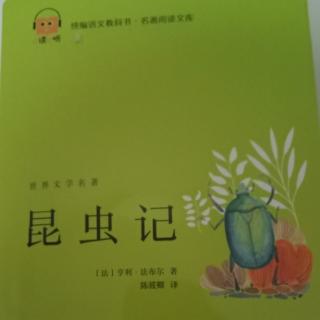 《昆虫记》