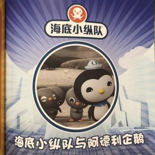 海底小纵队与阿德利企鹅🐧