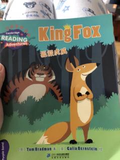 King Fox 狐假虎威 11.20