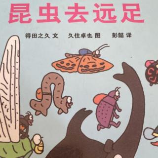 昆虫去远足