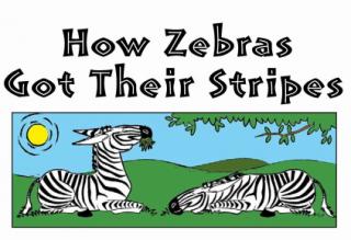 How Zebras Got Their Stripes 斑马条纹怎么来的