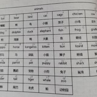 二级分类词汇 Animals 38个