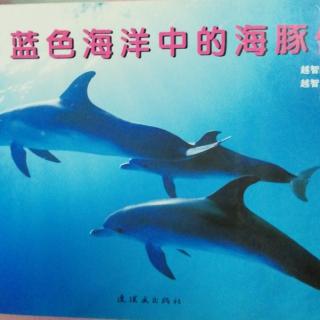 蓝色海洋中的海豚们