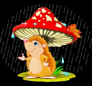 金鼎实验幼儿园睡前故事950—《小刺猬的蘑菇伞》