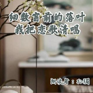 来稿 | 细数窗前的落叶，我把恋歌轻唱 - 孙瑂（来自FM73175060）