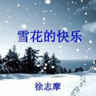 雪花的快乐  徐志摩