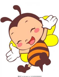 蜜蜂小小