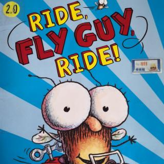 Ride  Fly Guy  ride