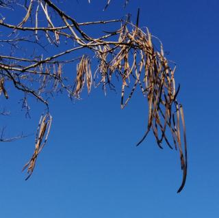 6读《庄子全传》悟“自然”人生 作者：郭玉杰