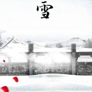 赵海洋-雪落下的声音 