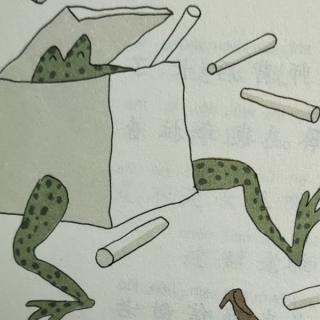 女巫怕青蛙🐸