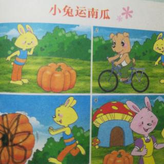 王思淇《小兔运南瓜🎃》