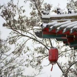 小雪节气美好祝愿