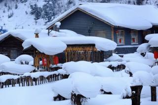 家乡又下雪了  文/马克